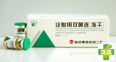 注射用双黄连(冻干)