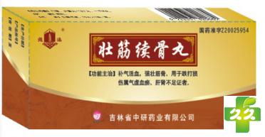壮筋续骨丸