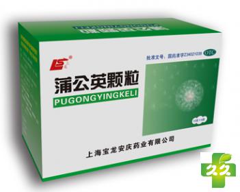 蒲公英颗粒