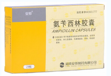 安邦氨苄西林胶囊