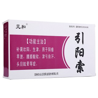 引阳索